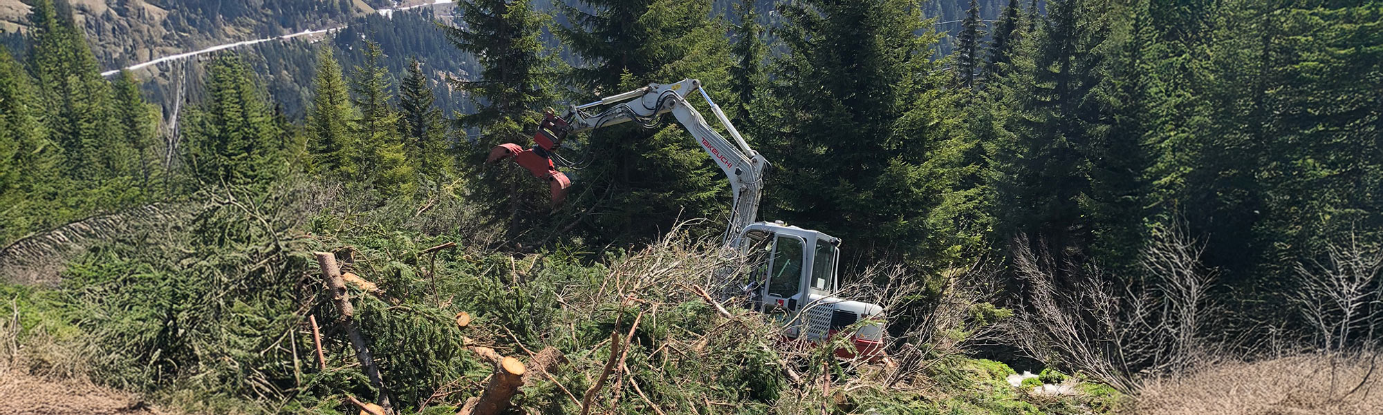 Bagger arbeitet am Rand eines dichten Waldes auf unebenem Gelände mit Gebüsch, Gras und steinigem Untergrund.